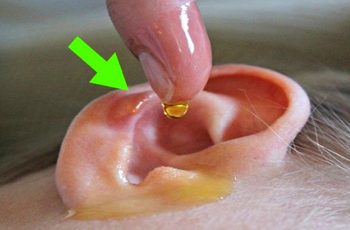 Drop This Mixture Of Vinegar And Alcohol In Your Ears For 60 Seconds And Say Goodbye To Ear Wax Issues