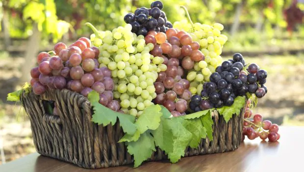 grapes benefits